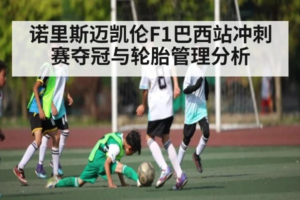 诺里斯迈凯伦F1巴西站冲刺赛夺冠与轮胎管理分析