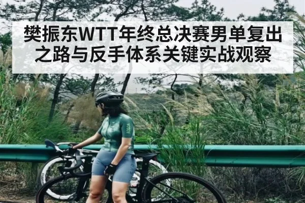 樊振东WTT年终总决赛男单复出之路与反手体系关键实战观察