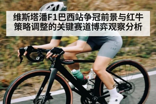维斯塔潘F1巴西站争冠前景与红牛策略调整的关键赛道博弈观察分析